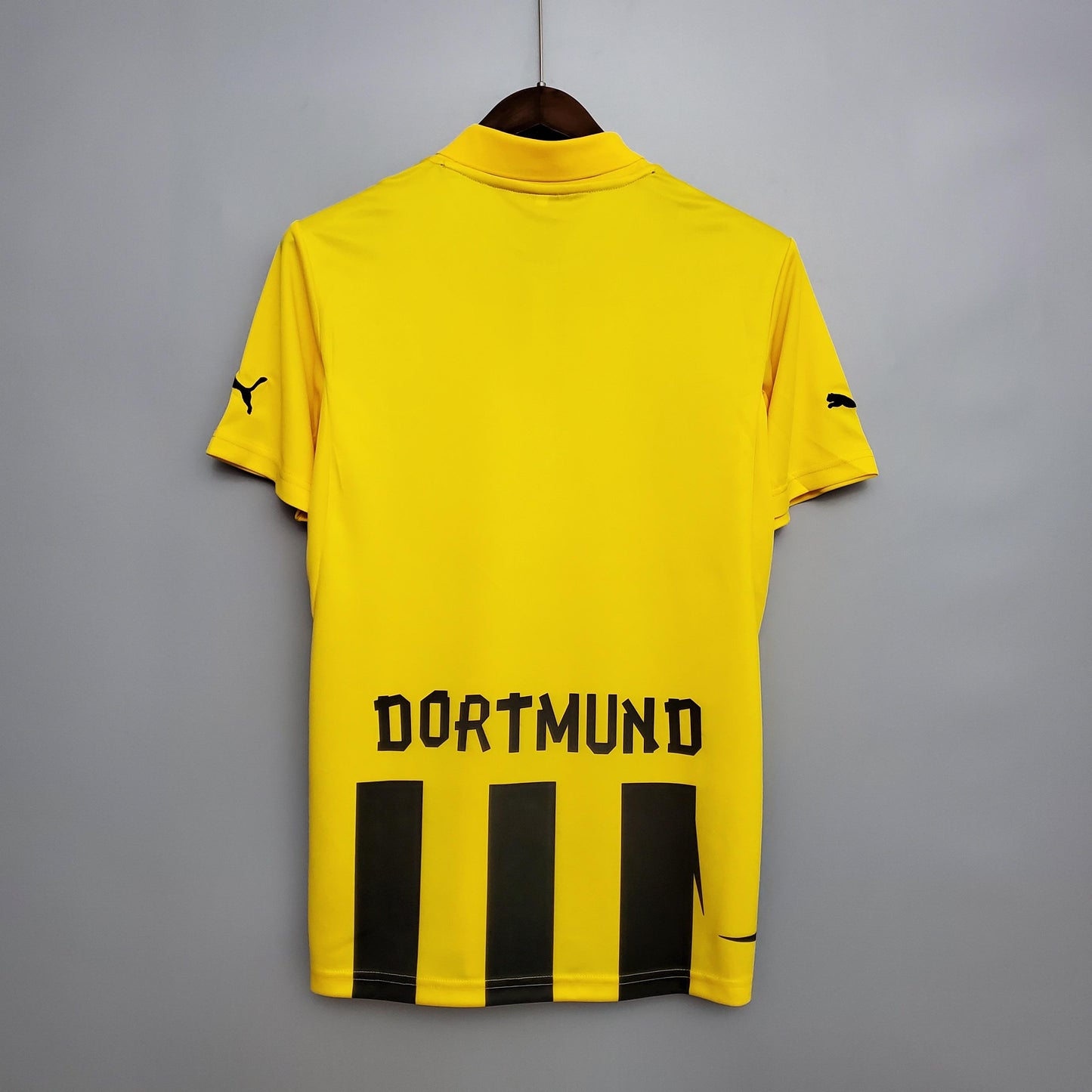 Dortmund 2012-13 Home