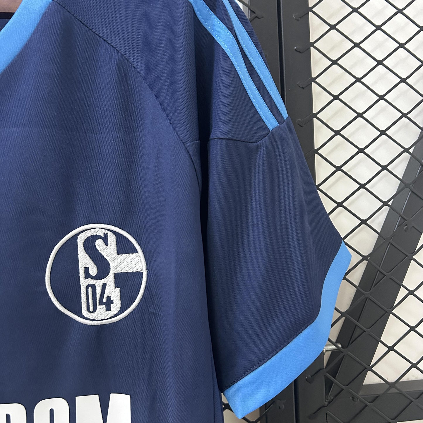 Schalke 2010-11 Home