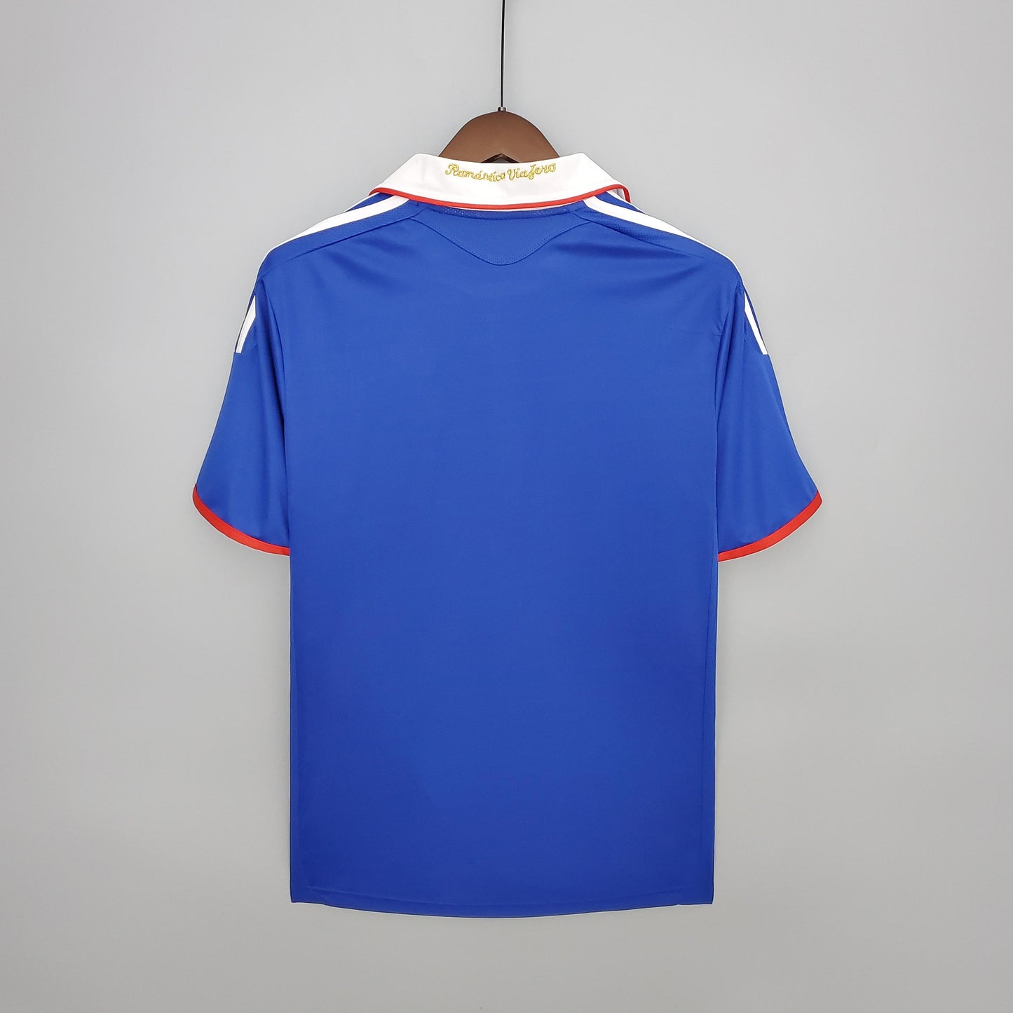 Chile 2011 Home