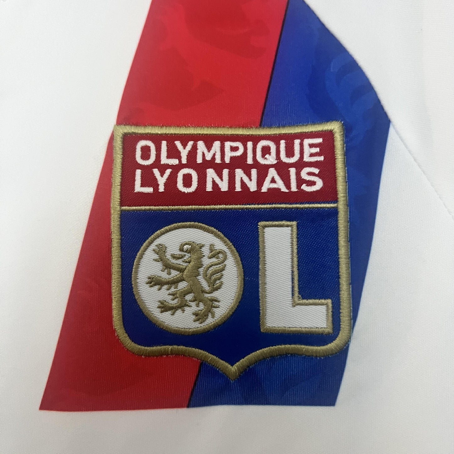 Lyon 2010-11 Home