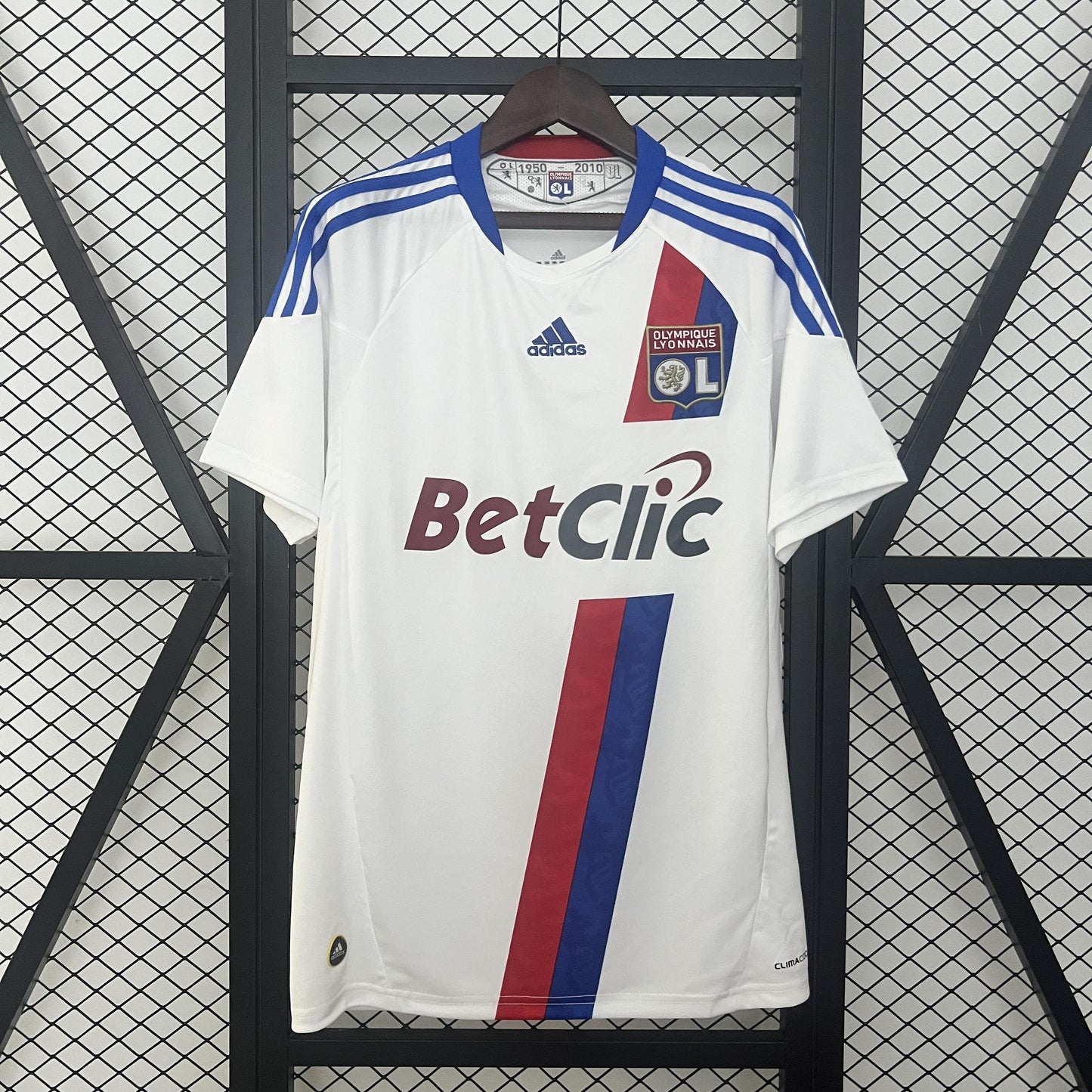 Lyon 2010-11 Home