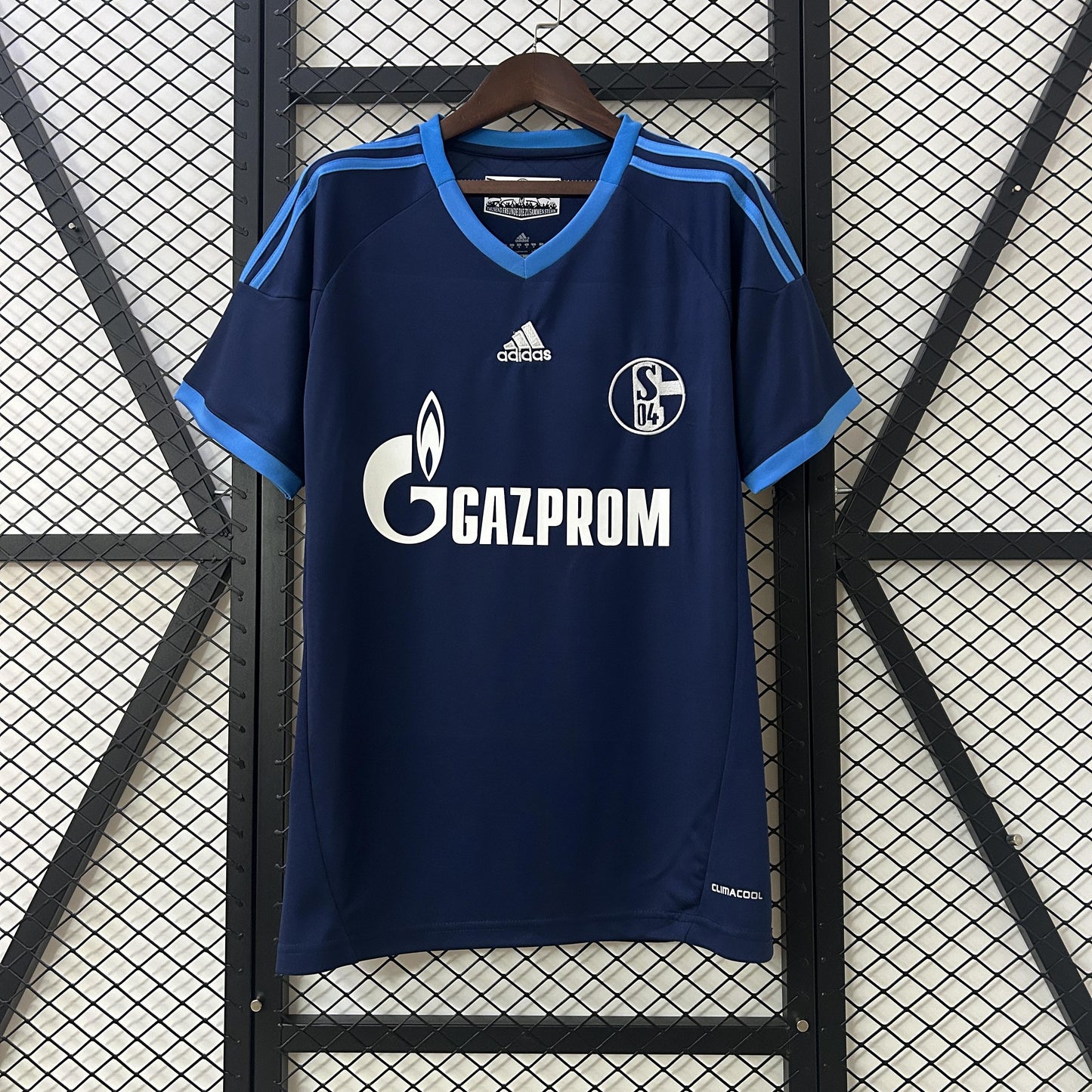 Schalke 2010-11 Home