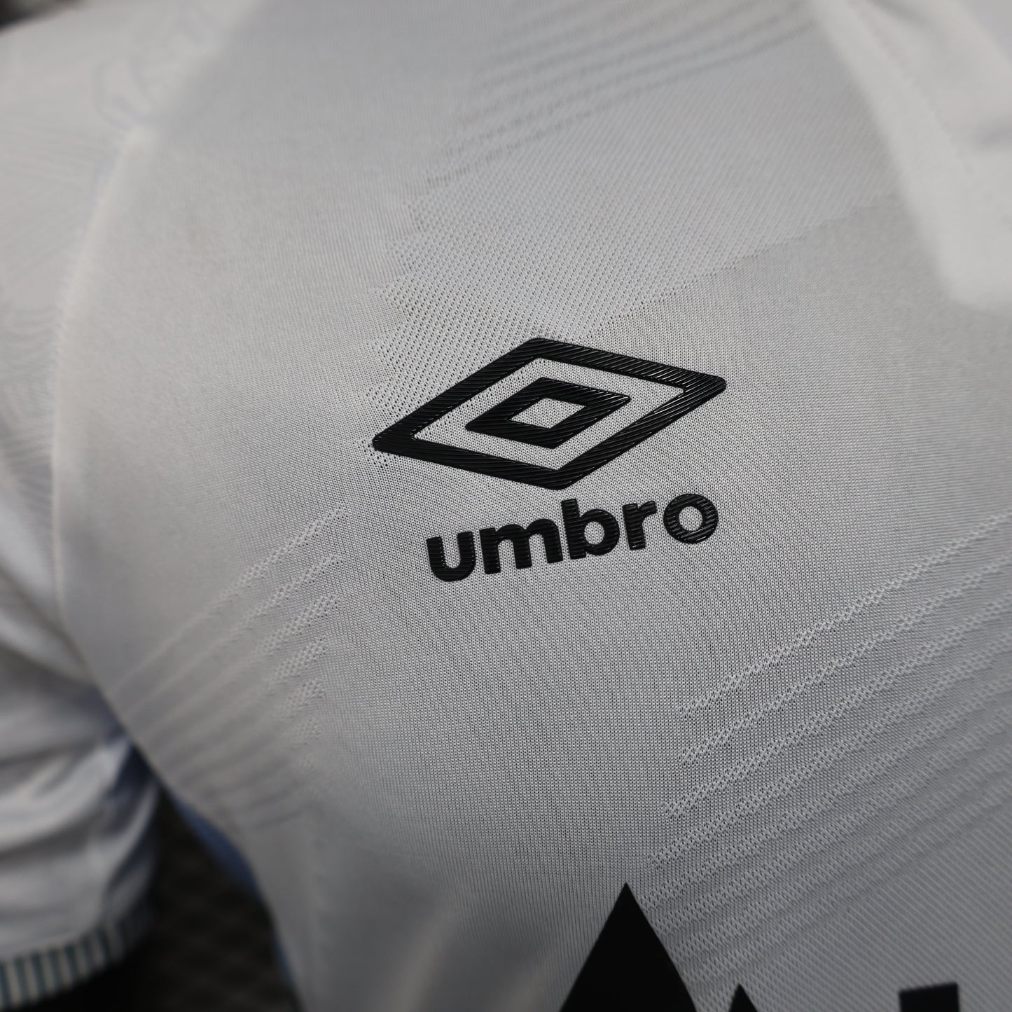 Santos 2025-26 Home (Player Version)
