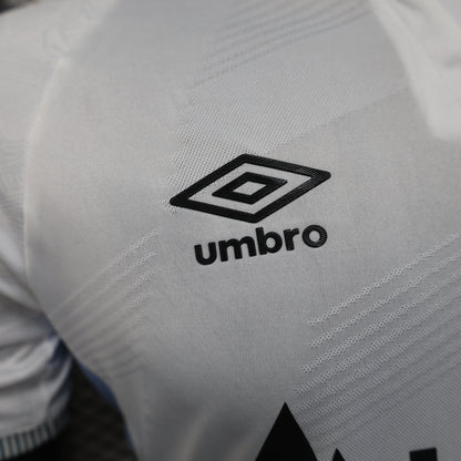 Santos 2025-26 Home (Player Version)