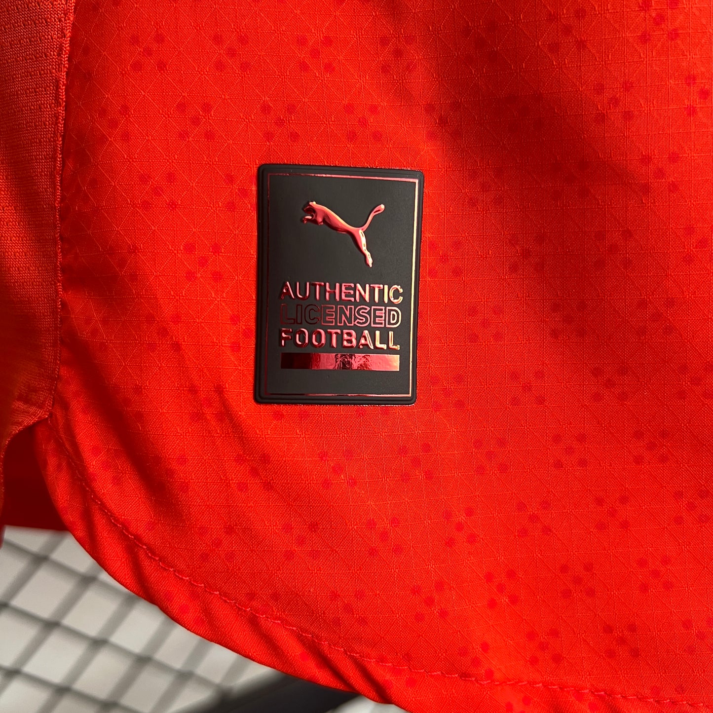 Portugal 2025 Home Euro  (Player Version)