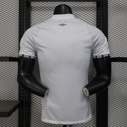 Santos 2025-26 Home (Player Version)