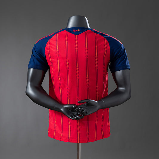 Spain 2026 Home (Player Version)