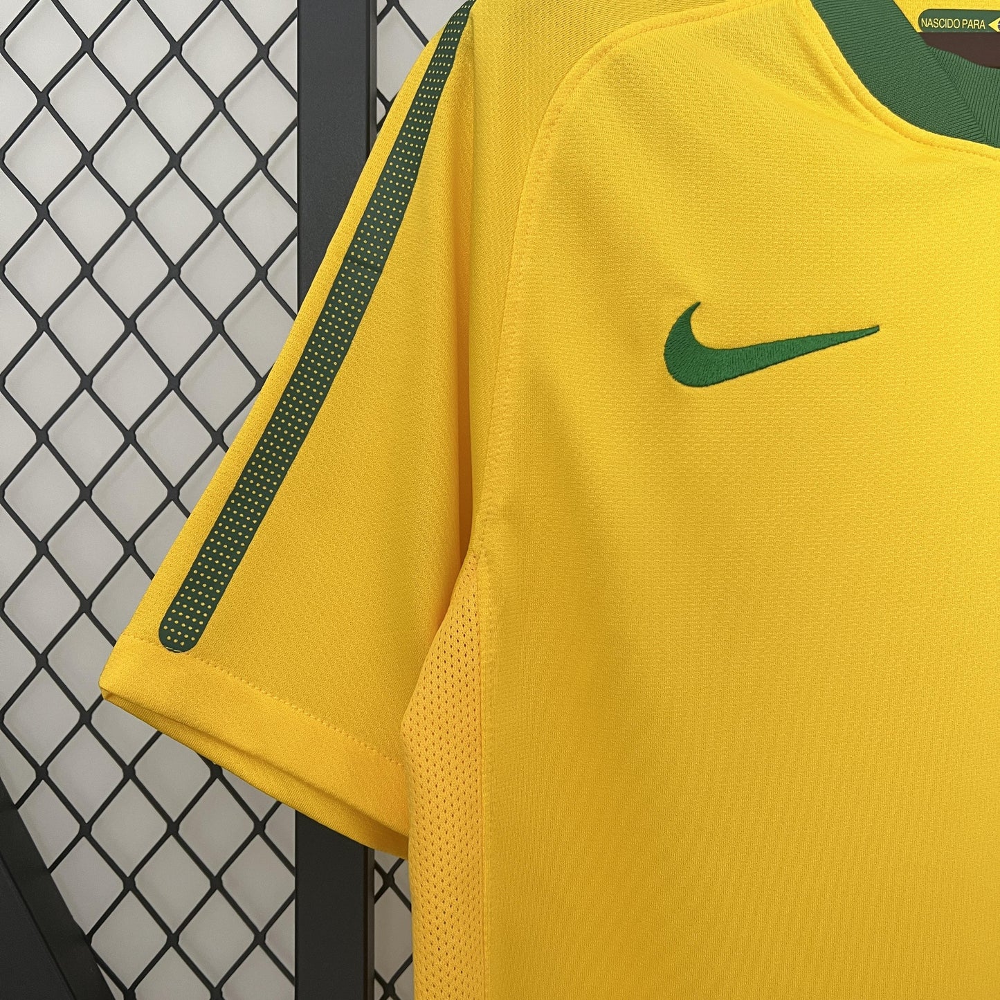 Brazil 2010 Home