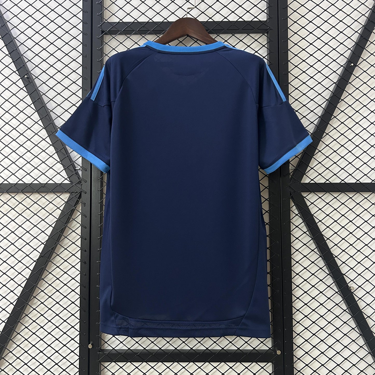 Schalke 2010-11 Home