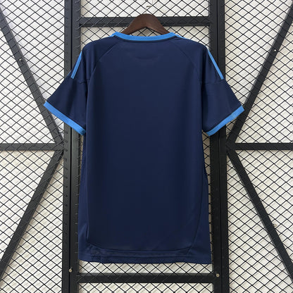 Schalke 2010-11 Home