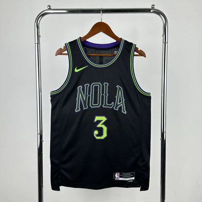 Pelicans City 2025 (Heat Pressed)