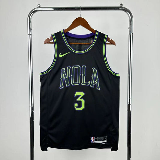 Pelicans City 2025 (Heat Pressed)