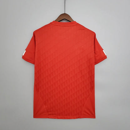 Liverpool 2010-11 Home