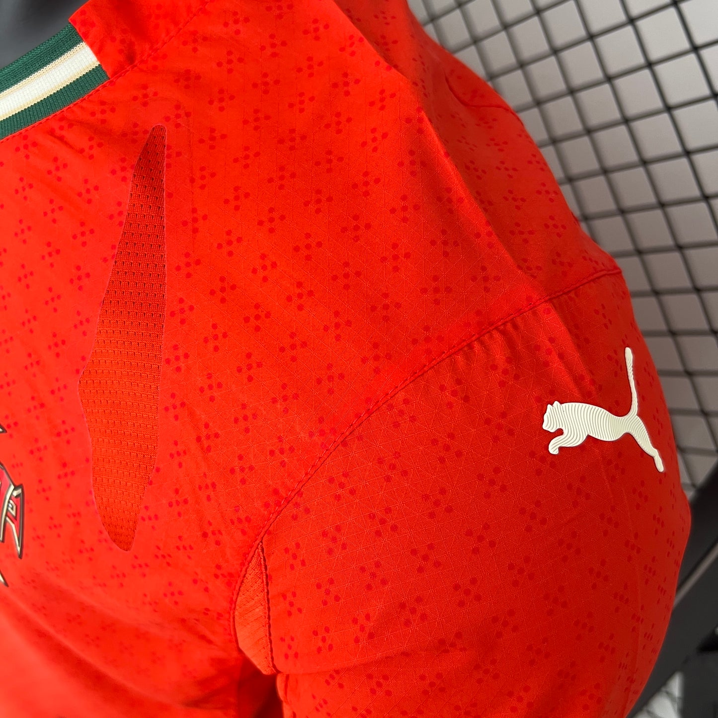 Portugal 2025 Home Euro  (Player Version)