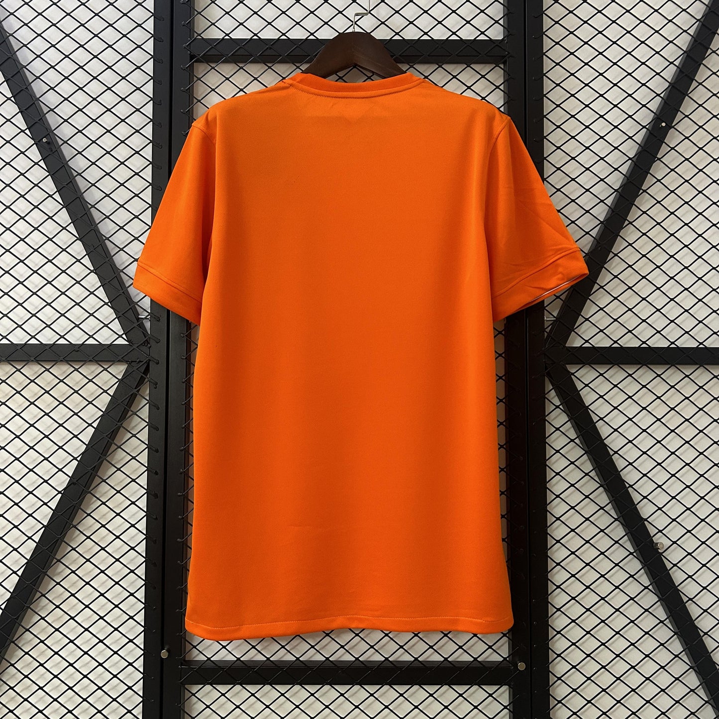 Netherland 2014 Home