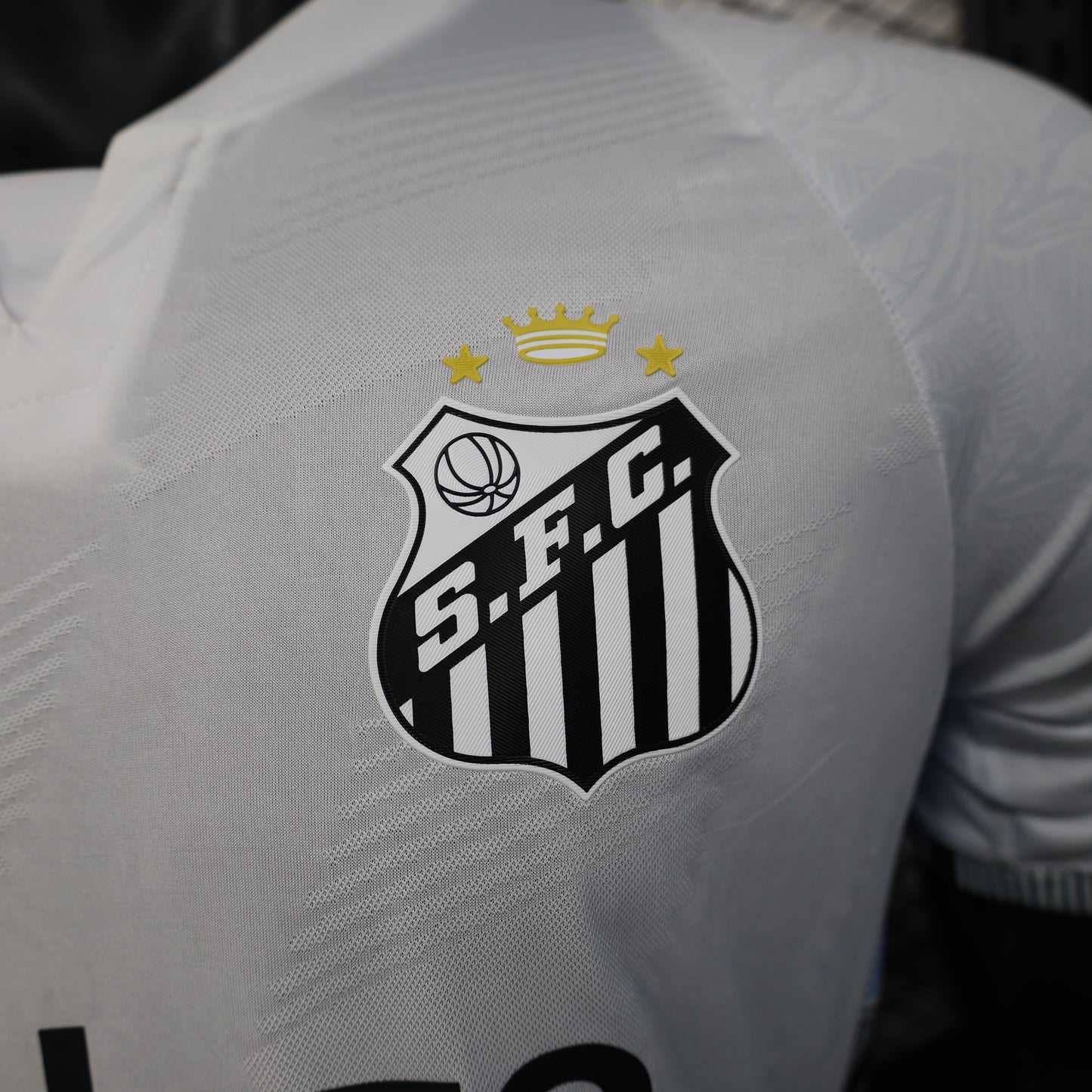 Santos 2025-26 Home (Player Version)